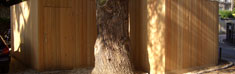 Descriptive Image Name